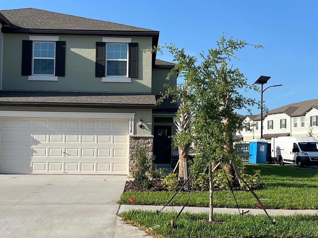32038 POWDERPUFF MIMOSA DRIVE
