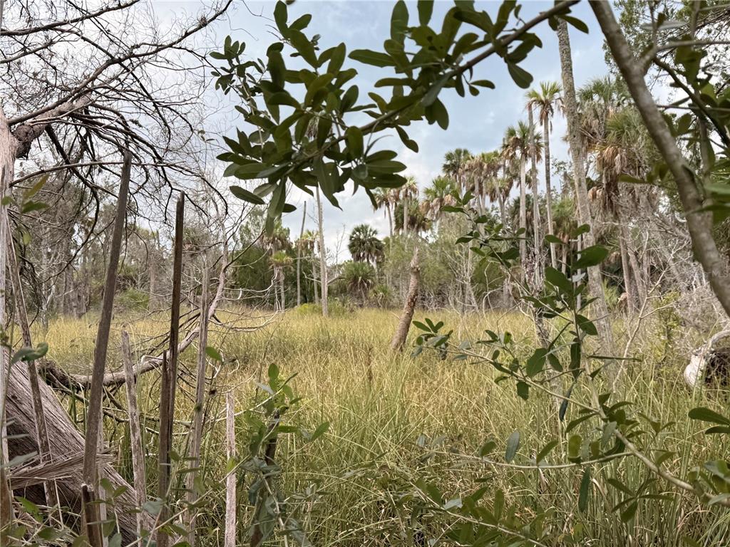12039 W FORT ISLAND TRAIL, CRYSTAL RIVER, FL — photo 3 of 10