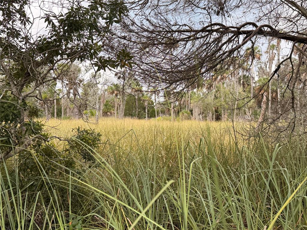 12039 W FORT ISLAND TRAIL, CRYSTAL RIVER, FL — photo 4 of 10