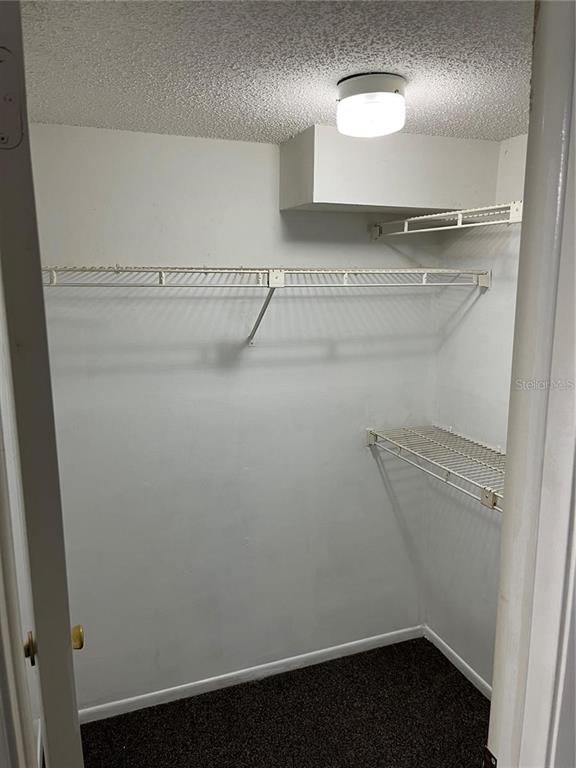 A small walk-in closet features white walls, dark carpeting, and wire shelving — 1924 LAKE ATRIUMS CIRCLE UNIT 55, ORLANDO, FL
