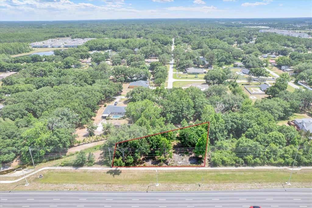 An aerial view shows a vacant, tree-covered lot outlined in red next to a road — STATE ROAD 54, LUTZ, FL