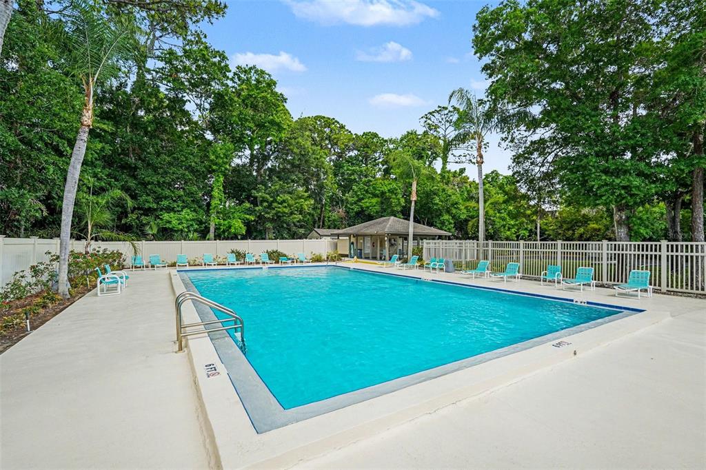 A rectangular swimming pool with a metal ladder sits on a concrete deck near trees — 10 LESLEY LANE, OLDSMAR, FL