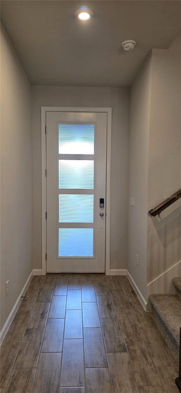 An entryway features a white front door with four frosted glass panels and wood-look tile flooring — 4100 CLOUD HOPPER WAY, LUTZ, FL