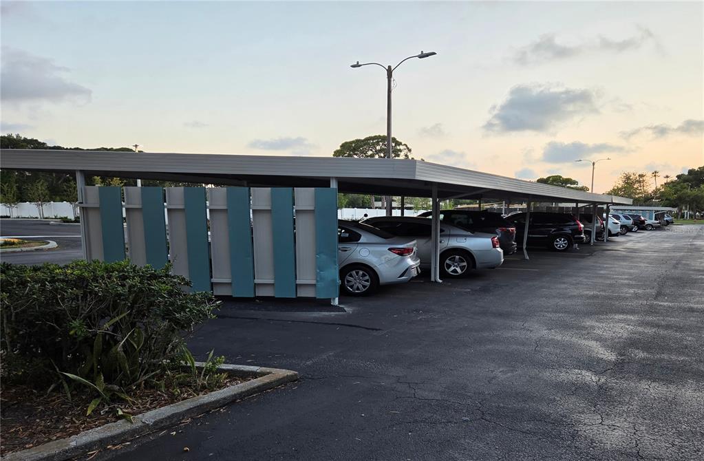 A covered parking area with a blue privacy screen and several parked cars — 5925 TERRACE PARK DRIVE N UNIT 111, ST PETERSBURG, FL