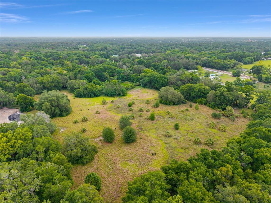 An aerial view shows a large, grassy, partially wooded lot surrounded by dense forest — TBD S HIGHWAY 301, SUMMERFIELD, FL