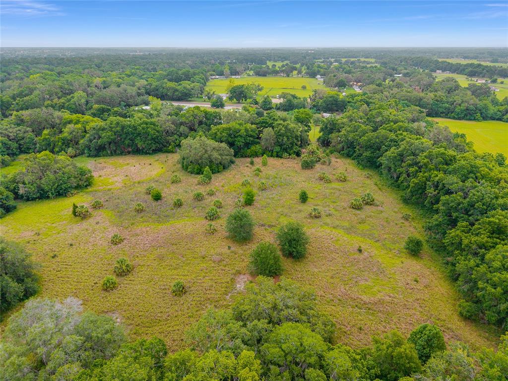 An aerial view shows a large, grassy, partially wooded plot of land — TBD S HIGHWAY 301, SUMMERFIELD, FL