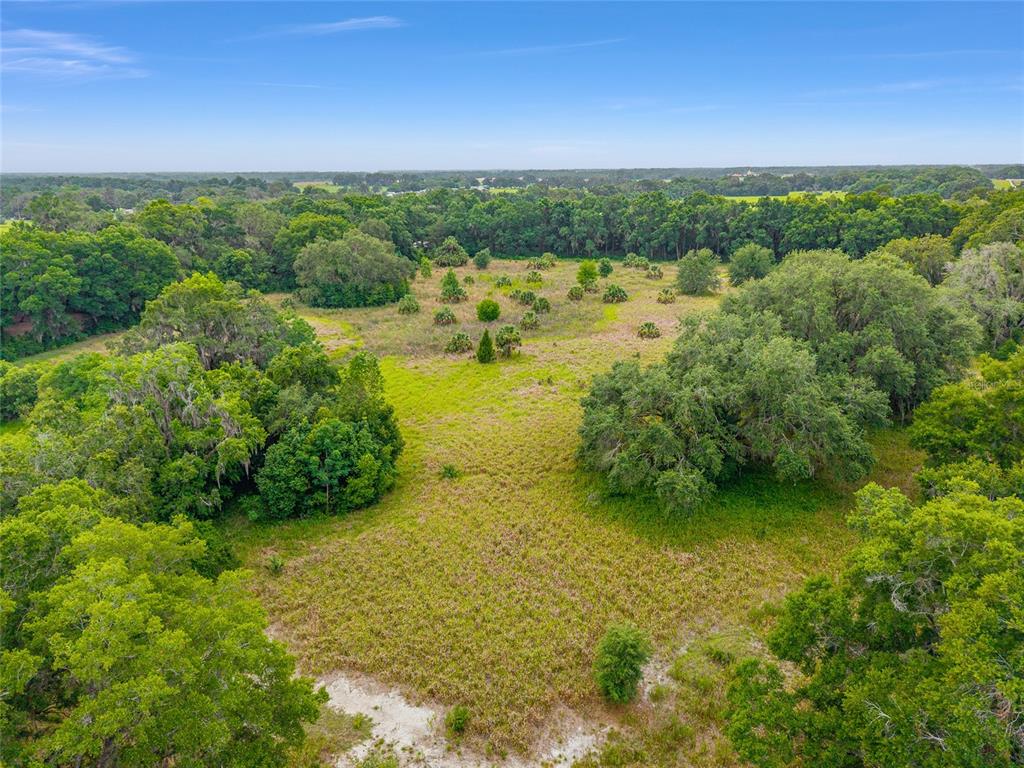 An aerial view shows a grassy, partially wooded lot under a clear blue sky — TBD S HIGHWAY 301, SUMMERFIELD, FL