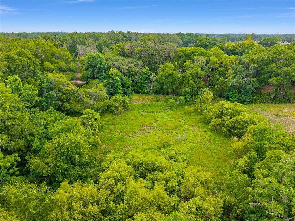 An aerial view shows a grassy clearing surrounded by dense green trees and vegetation — TBD S HIGHWAY 301, SUMMERFIELD, FL