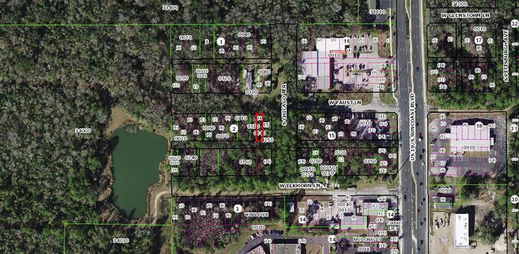 This is an aerial map showing property parcel boundaries, street names, and surrounding land features — 8714 W FAUST LANE, HOMOSASSA, FL
