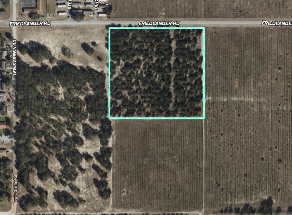 An aerial map view shows a rectangular, tree-covered plot of land bordered by a road — FRIEDLANDER ROAD, BABSON PARK, FL