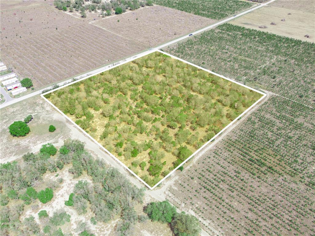 An aerial view shows a square, tree-covered plot of land bordered by roads and fields — FRIEDLANDER ROAD, BABSON PARK, FL