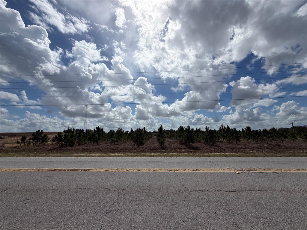 A paved road runs in front of a field of young pine trees under a cloudy sky — FRIEDLANDER ROAD, BABSON PARK, FL