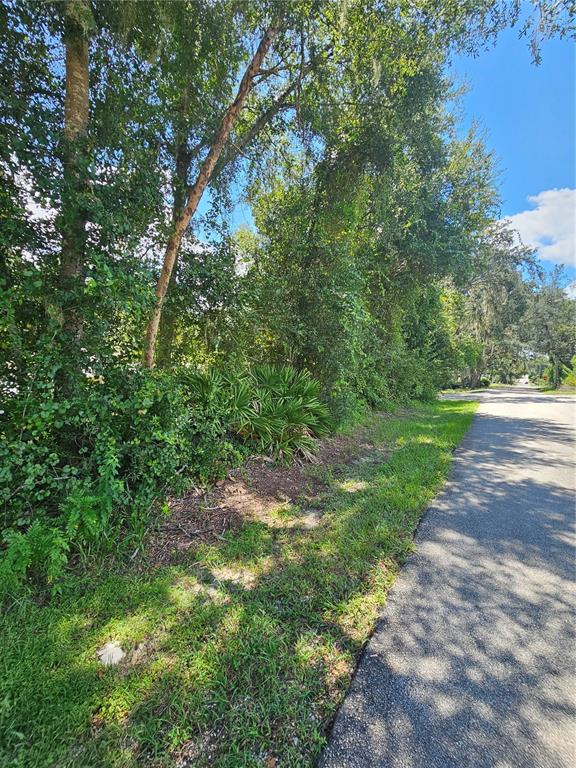 A paved road runs alongside a wooded lot with dense trees and palmetto bushes — 18TH STREET, ORANGE CITY, FL