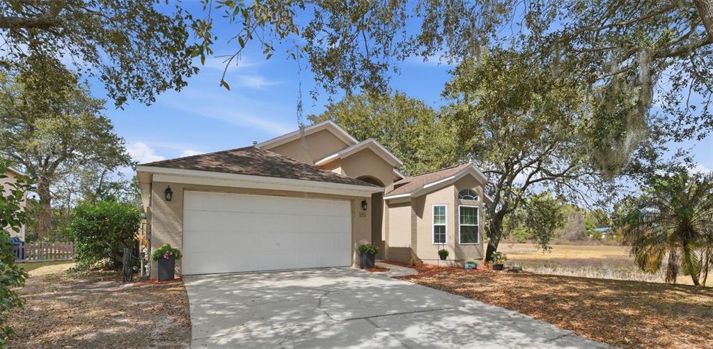 251 PINE SPRINGS DRIVE