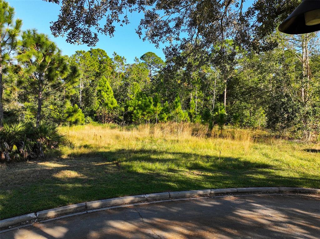 7161 OAK GLEN TRL