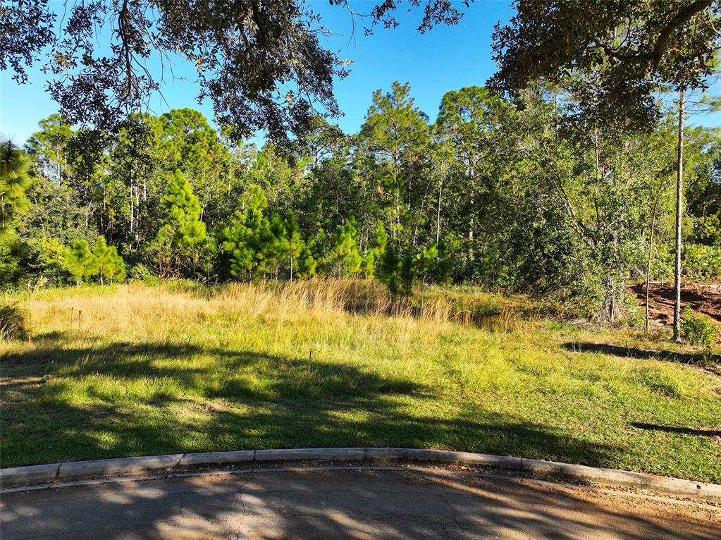 A vacant, grassy residential lot is bordered by a paved cul-de-sac and dense woods — 7161 OAK GLEN TRL, ST CLOUD, FL