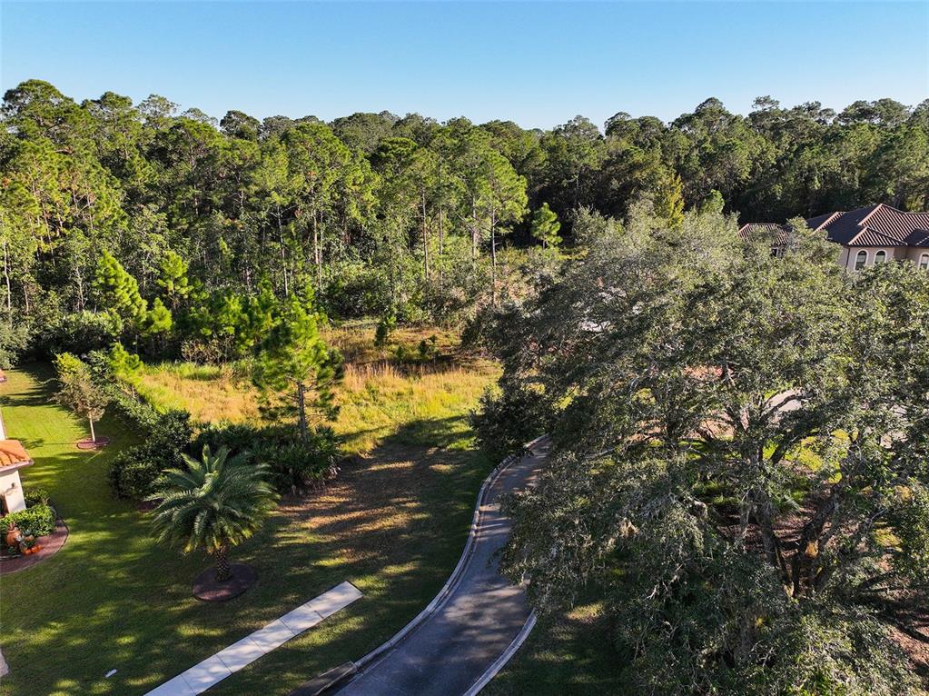 An aerial view shows a paved driveway leading toward a wooded lot near a house — 7161 OAK GLEN TRL, ST CLOUD, FL