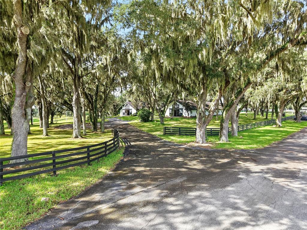 Two illuminated white buildings with arched windows sit under large oak trees at night — 5540 SE 157TH STREET ROAD, SUMMERFIELD, FL