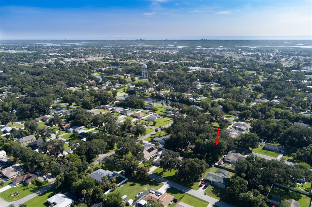 A vacant, wooded lot with tall trees and Spanish moss sits beside a paved road — 2214 NEEDLE PALM DRIVE, EDGEWATER, FL