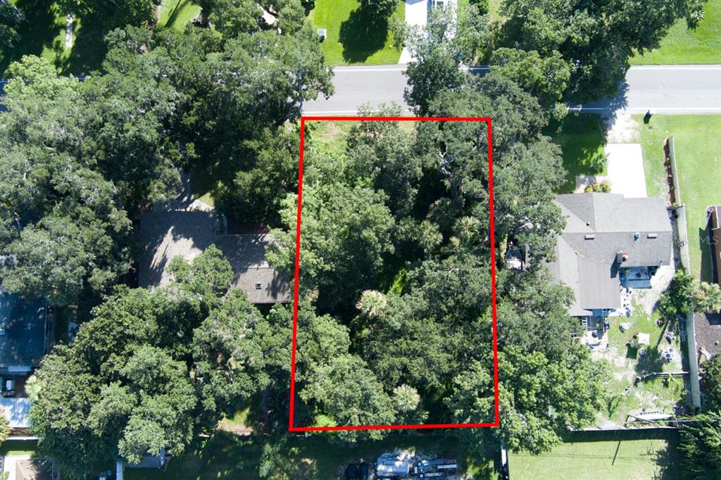 A wooded, undeveloped lot with several tree stumps and scattered leaves on the ground — 2214 NEEDLE PALM DRIVE, EDGEWATER, FL