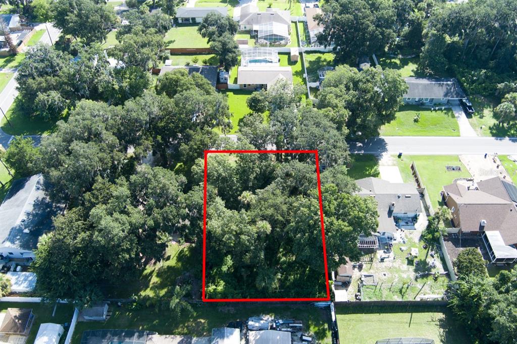 An aerial view shows a rectangular, tree-covered vacant lot outlined in red — 2214 NEEDLE PALM DRIVE, EDGEWATER, FL