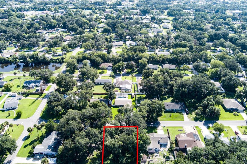 An aerial view shows a wooded, rectangular lot outlined in red within a residential neighborhood — 2214 NEEDLE PALM DRIVE, EDGEWATER, FL