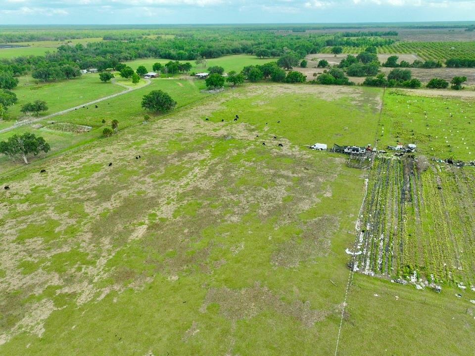 An aerial view shows a large, grassy pasture with scattered trees, livestock, and farm equipment — W ST RD 64, WAUCHULA, FL