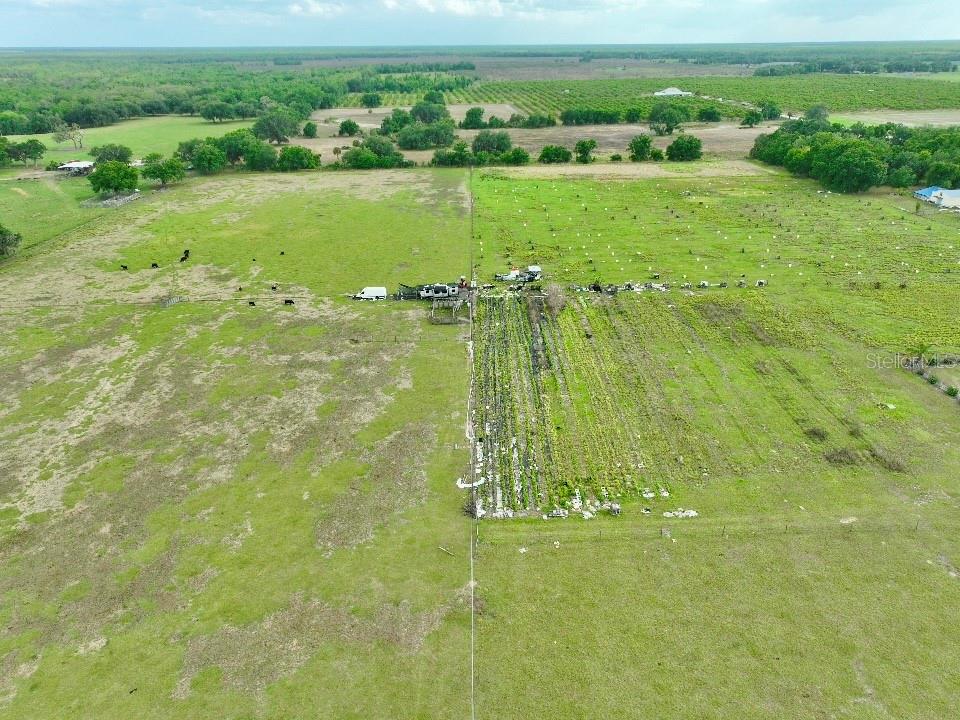 An aerial view shows a fenced pasture with cattle, a small structure, and agricultural rows — W ST RD 64, WAUCHULA, FL