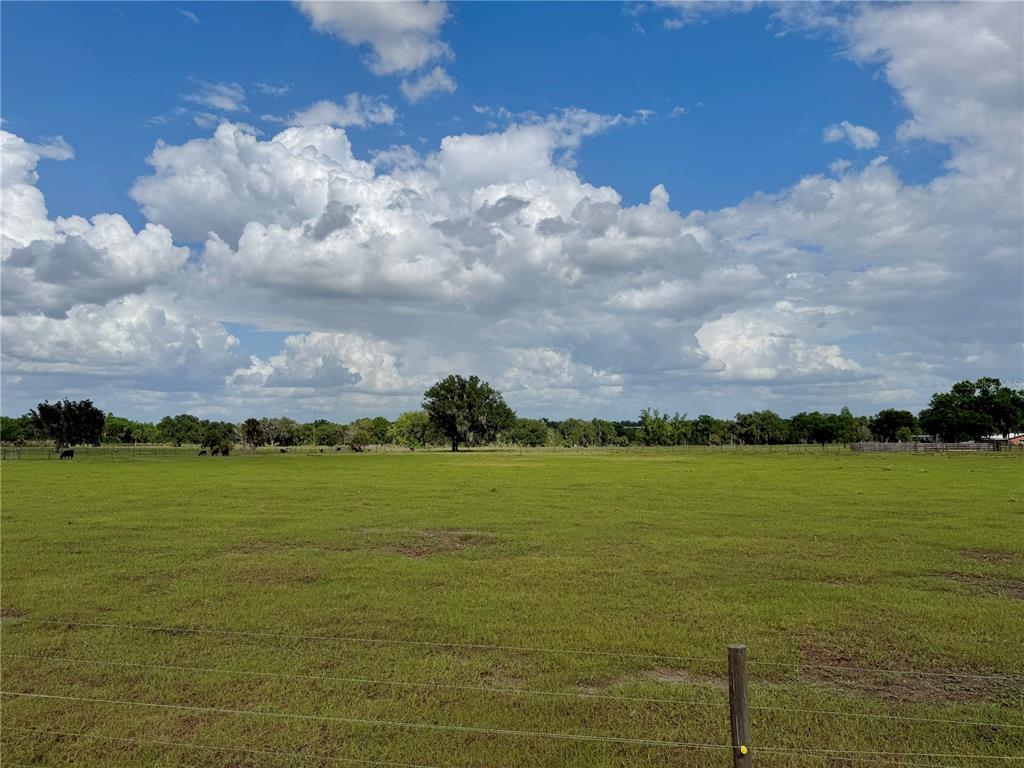 A wide, grassy pasture is enclosed by a wire fence under a cloudy blue sky — W ST RD 64, WAUCHULA, FL