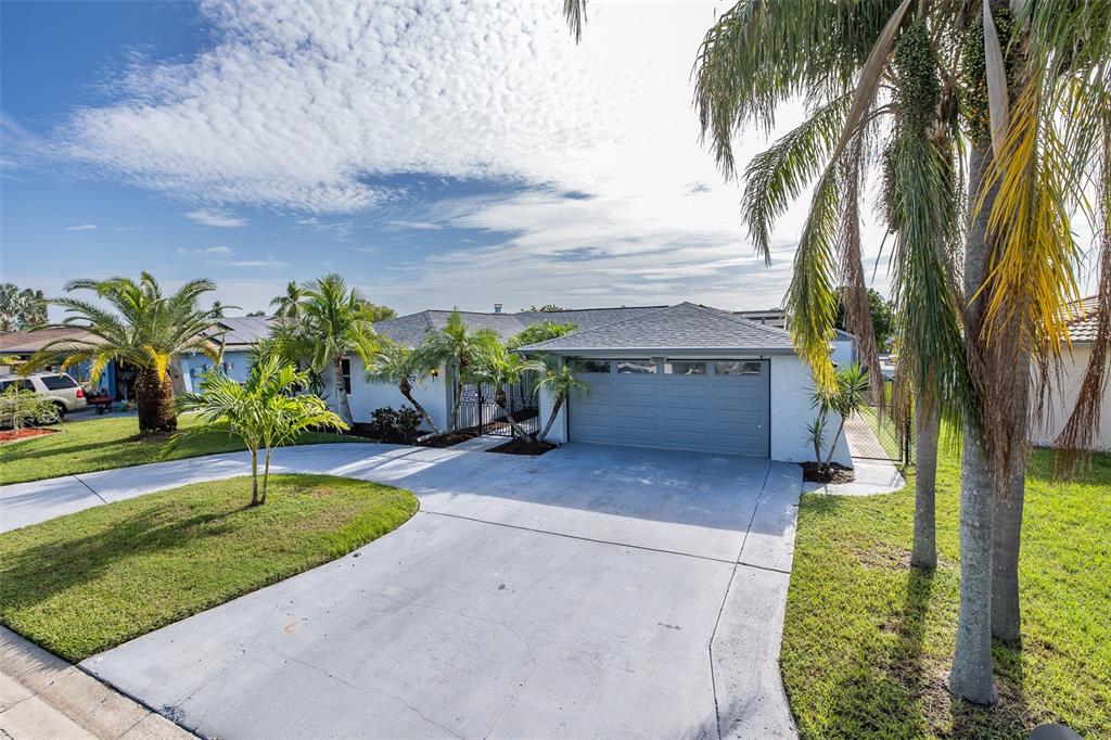 A single-story house with a gray garage door, a concrete driveway, and several palm trees — 9816 SAN MATEO WAY, PORT RICHEY, FL