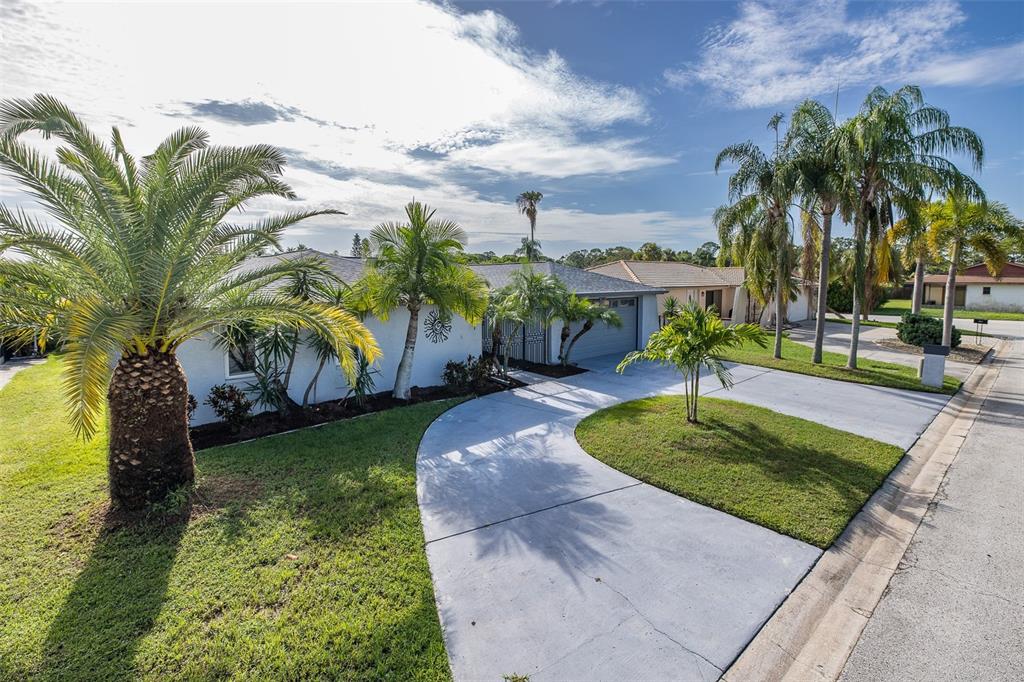A single-story house with a curved concrete driveway and palm trees in the front yard — 9816 SAN MATEO WAY, PORT RICHEY, FL