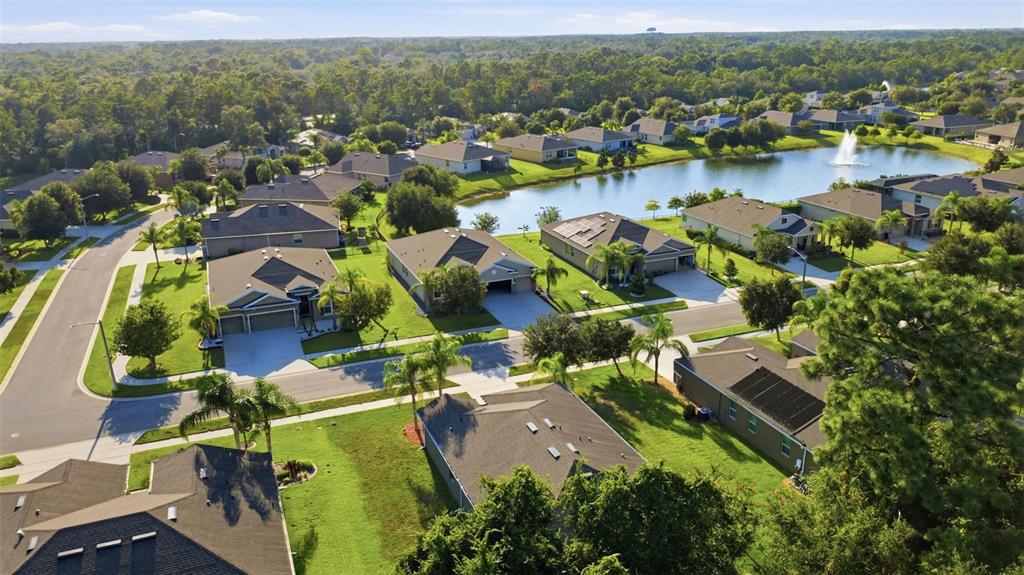 A single-story house with a gray exterior, two-car garage, and two palm trees in front — 463 RIVER SQUARE LANE, ORMOND BEACH, FL