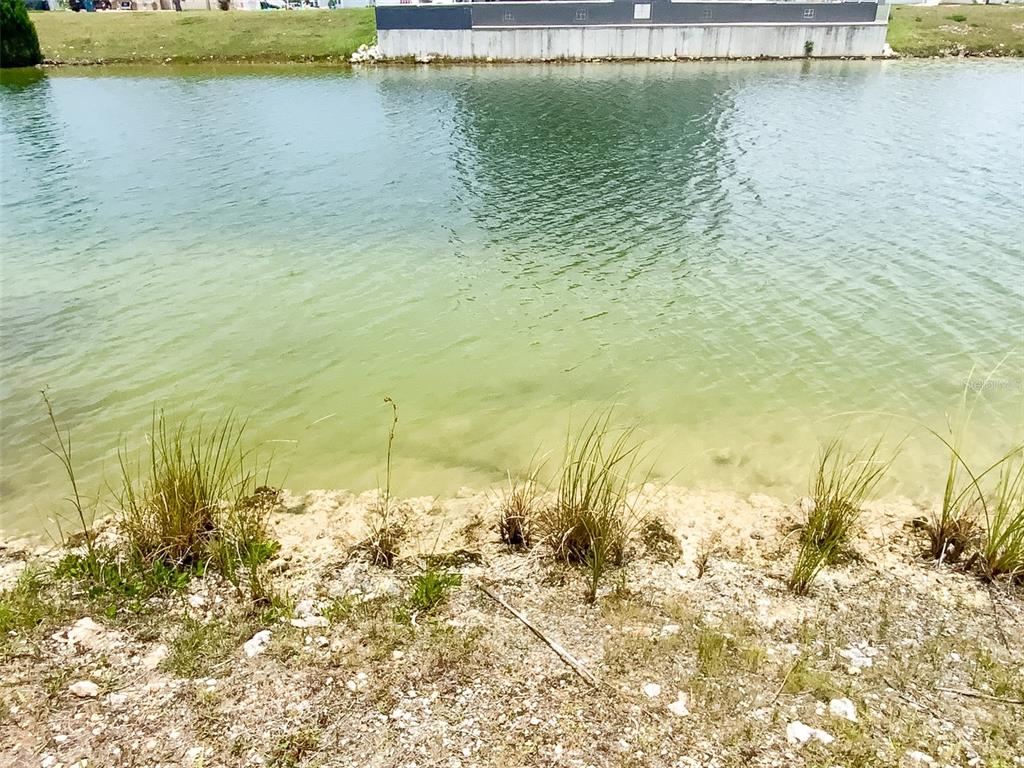 A view of a pond with a grassy bank and a building in the background — 3471 CROAKER DRIVE, HERNANDO BEACH, FL
