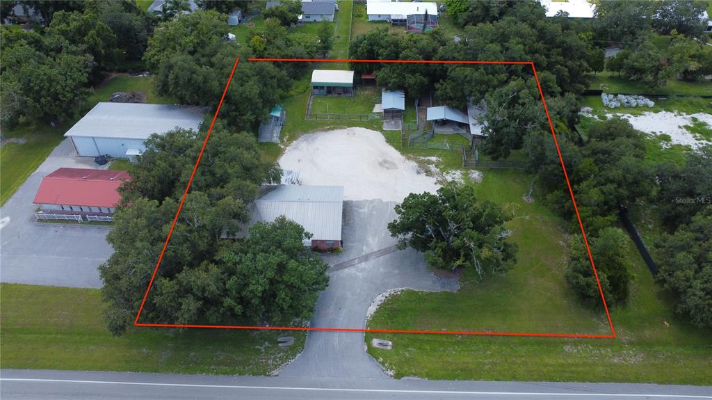 A brick animal hospital building sits on a paved lot with a large shade tree — 2865 SE HIGHWAY 31, ARCADIA, FL