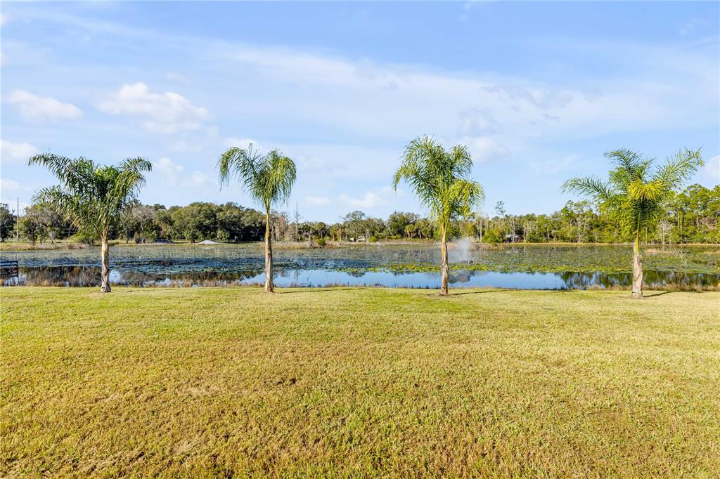 A grassy lawn leads to a pond lined with four palm trees under a blue sky — 420 ROBERTS ROAD, PIERSON, FL