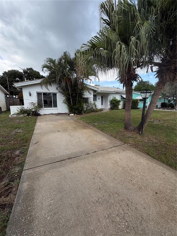 A concrete driveway leads to the front entrance of a single-story house with palm trees — 29768 67TH STREET N, CLEARWATER, FL